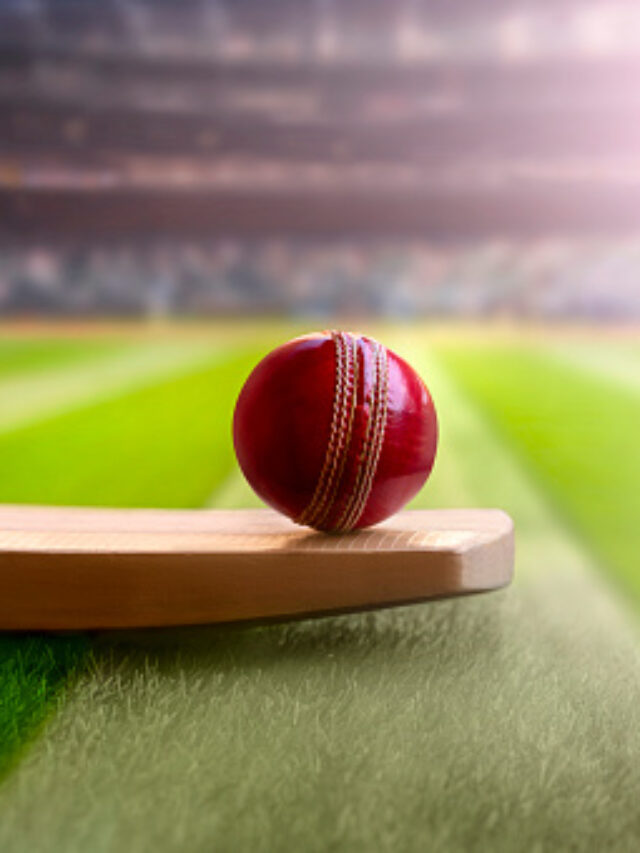 cricket leather ball resting on bat on the stadium pitch